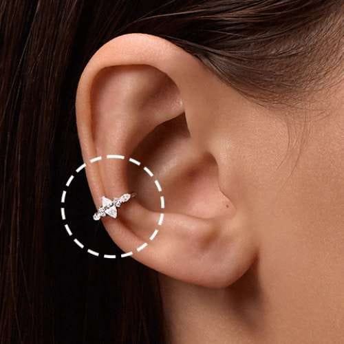 Piercing oreille conch